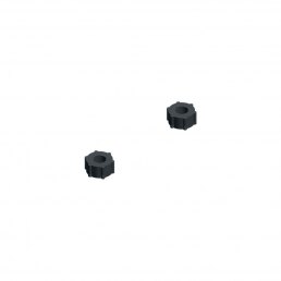 Pair of clips for inserts